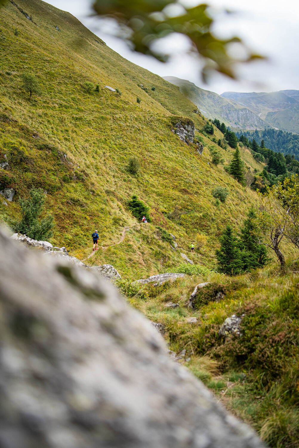 Vallée verte